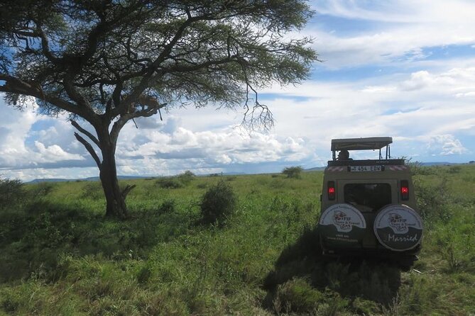 3 Day Tanzania Serengeti & Ngorongoro Crater Safari - The private format suits families and small groups