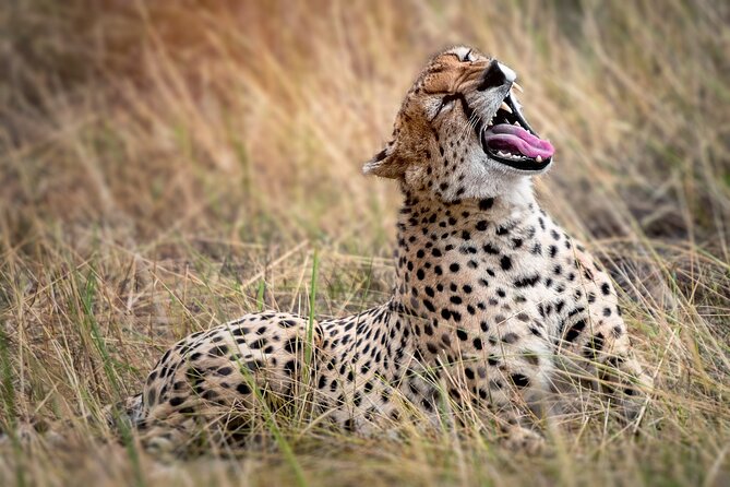 3-Day Tarangire, Lake Manyara and Ngorongoro - What the $700 price really covers