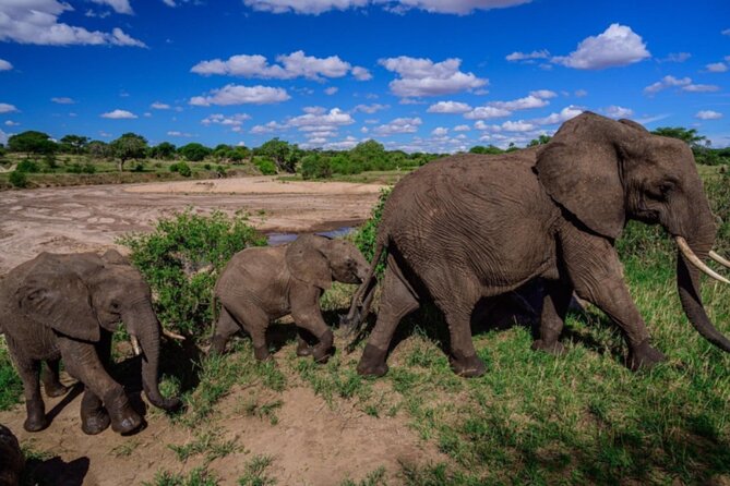 3-Day Tarangire, Lake Manyara and Ngorongoro - Camping, food, and the practical side