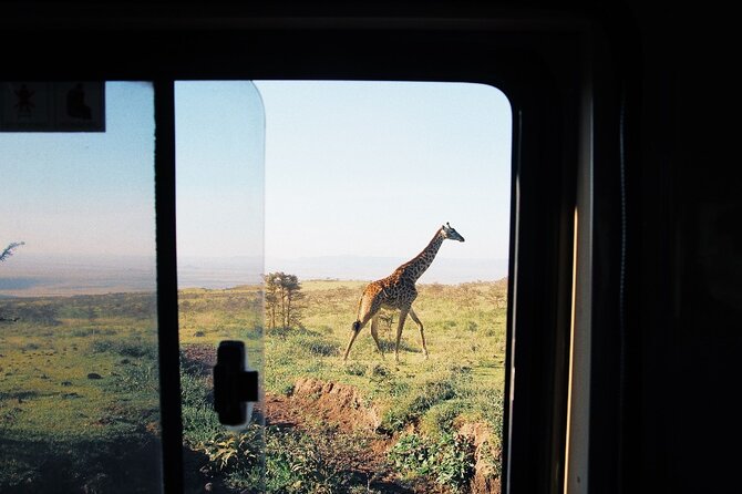 3-Day Tarangire, Lake Manyara and Ngorongoro - Day 1: Tarangire National Park and an evening at camp