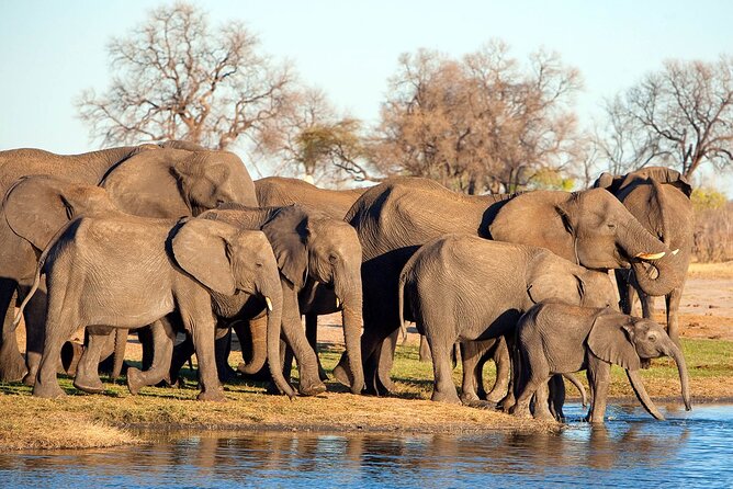 3-Day Tarangire, Ngorongoro and Lake Manyara Camping Safari - What $750 buys you in northern Tanzania
