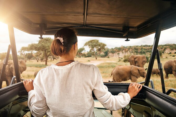 3-Day Tarangire, Ngorongoro and Lake Manyara Camping Safari - Who will get the most from this safari