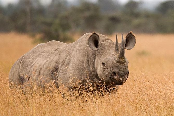3-Day Tarangire, Ngorongoro Crater, Manyara Park - Why this three-park route works so well