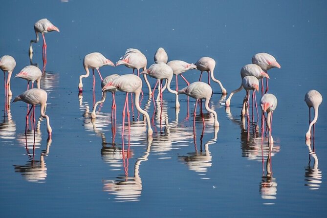 3-Day Tarangire, Ngorongoro Crater, Manyara Park - Practical details before you commit