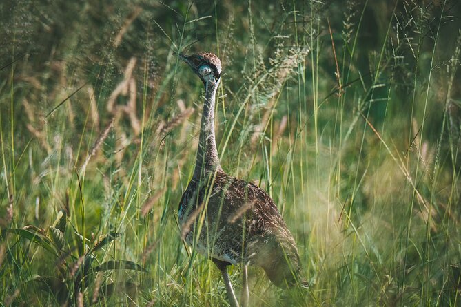 3-Day Tarangire, Ngorongoro & Manyara Best Tour & Safari - What the three-day route really offers
