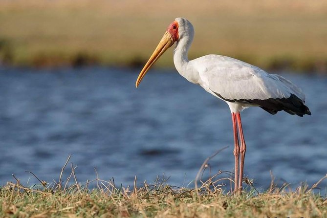 3-Day Tarangire NP, Manyara NP & Ngorongoro Crater - Tarangire’s Baobabs and Elephant Herds