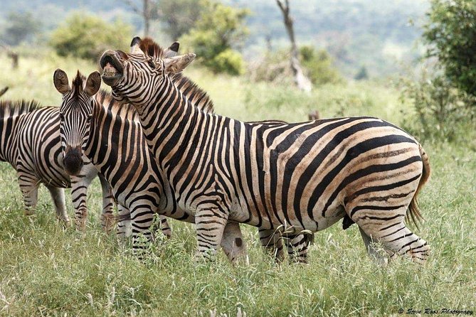 3-Day Tarangire NP, Manyara NP & Ngorongoro Crater - What the $830 Price Really Covers