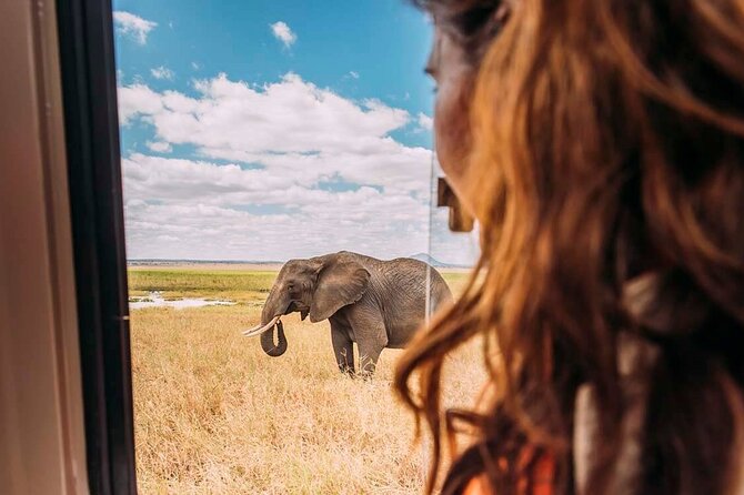 3-Day Taste of Tanzania Safari (Tarangire National park and Ngorongoro Crater) - What the guide can add to a short safari