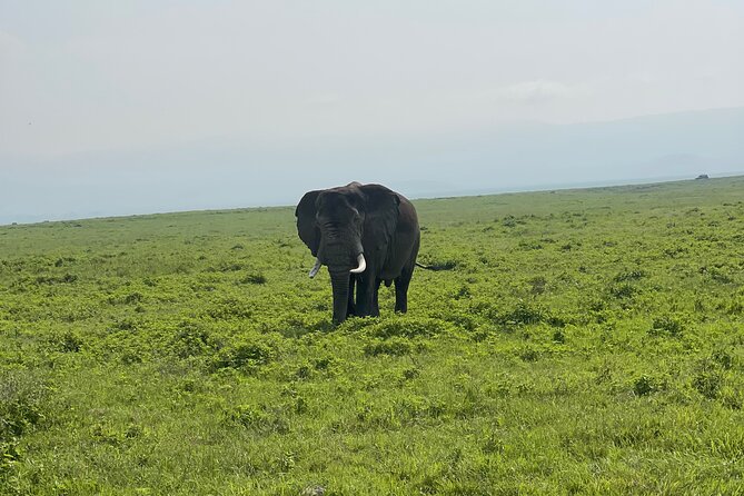 3 Day tour Tarangire, Ngorongoro crater & Lake Manyara - What the included meals and drinks mean