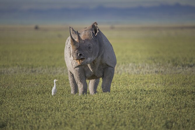 3 Day tour Tarangire, Ngorongoro crater & Lake Manyara - Day two: Inside the Ngorongoro Crater