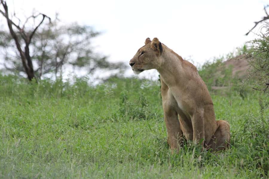 3-day unforgettable memories from Dar-es-Salaam to Mikumi NP - Day One: From Dar es Salaam Through Morogoro to Mikumi