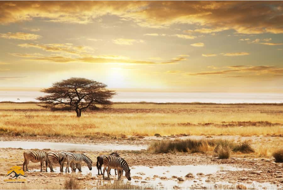 3-Day Wildlife Wonder! Lake Manyara & Ngorongoro. - Two famous parks, one efficient three-day plan