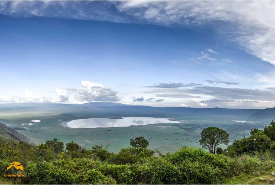 3-Day Wildlife Wonder! Lake Manyara & Ngorongoro. - Day 2 at Ngorongoro Crater: wildlife in a natural bowl