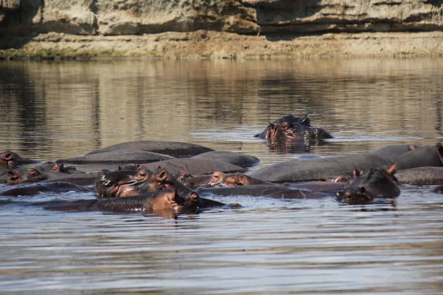 3 Days 2 Nights Amazing Masai Tour & Mikumi National Park - Is $680 per person a fair price?