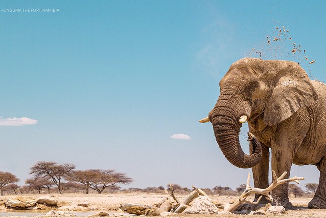 3 Days 2 Nights Group Joining Serengeti and Ngorogoro Safari - Camping: useful equipment, limited comfort