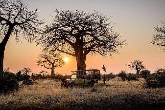 3 Days 2 Nights Group Joining Serengeti and Ngorogoro Safari - Ngorongoro Crater on the final day