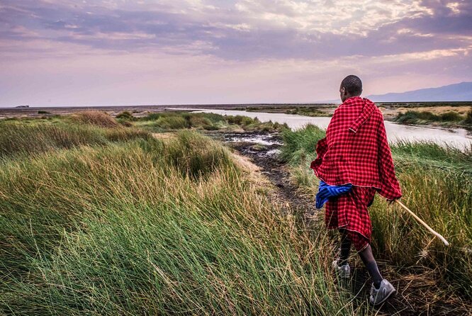 3 Days 2 Nights Group Joining Serengeti and Ngorogoro Safari - The Land Cruiser and group size