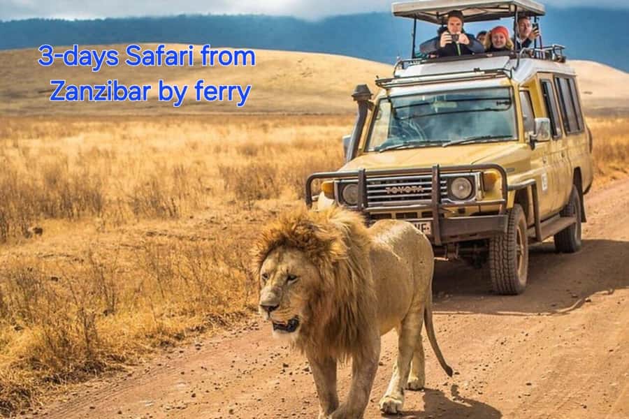 3 DAYS, 2 NIGHTS SAFARI FROM ZANZIBAR TO MIKUMI BY FERRY. - Why Go From Zanzibar to Mikumi by Ferry and Train?