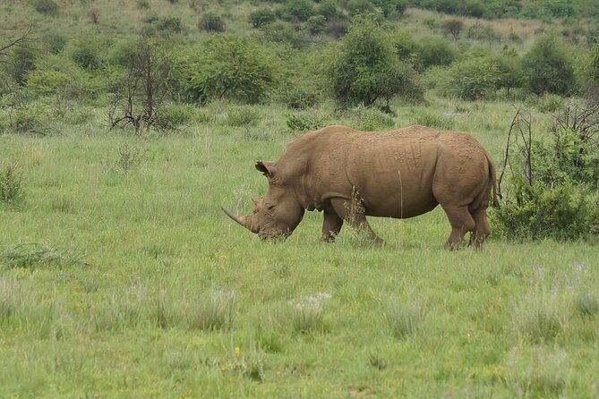 3-Days 2-nights Tanzania Private Budget Camping Safari - What This Three-Day Route Really Delivers