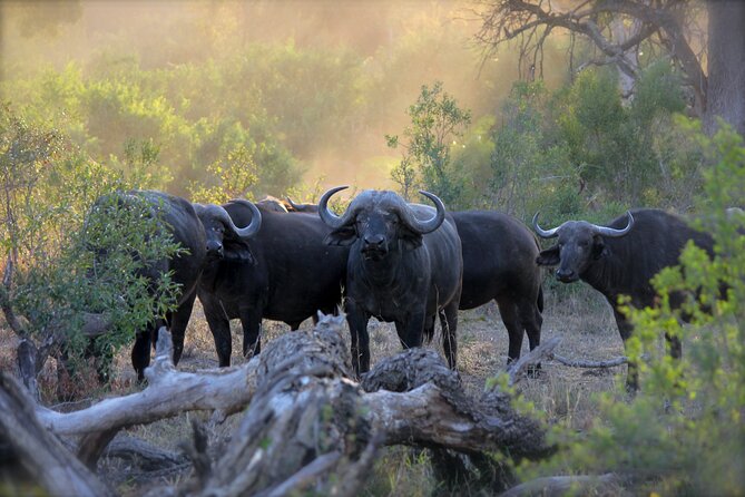 3-Days 2-nights Tanzania Private Budget Camping Safari - Camping inside the Serengeti