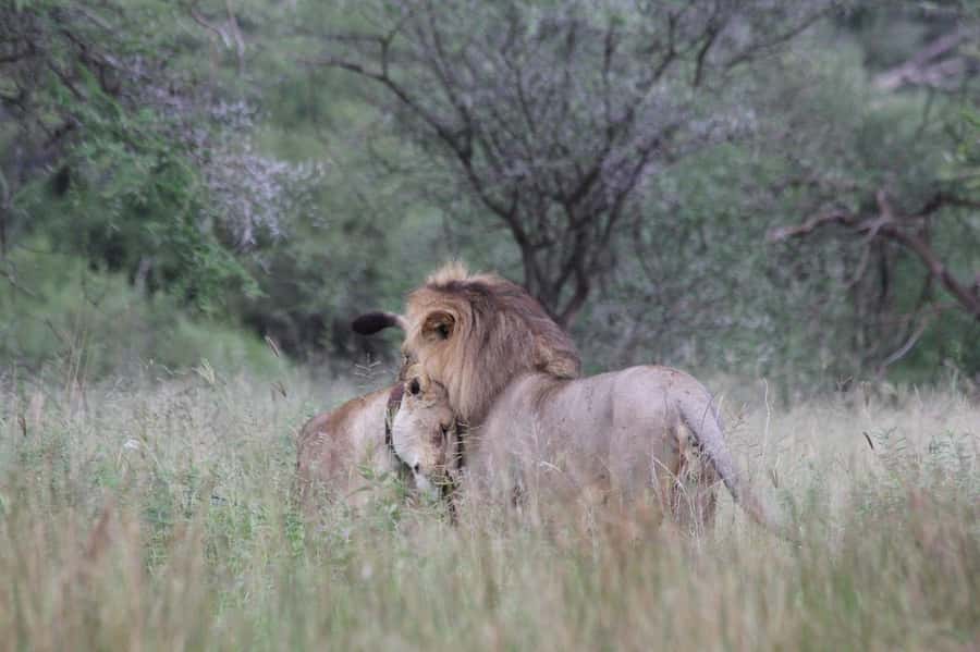 3-days adventure from Dar-es-Salaam to Mikumi National Park - Day 1: From Dar es Salaam through Morogoro to Mikumi