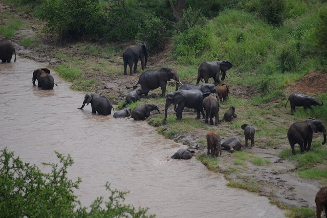 3 Days All Inclusive Zanzibar to Tarangire Ngorongoro - Day 3: Lake Manyara, birds, and the flight back