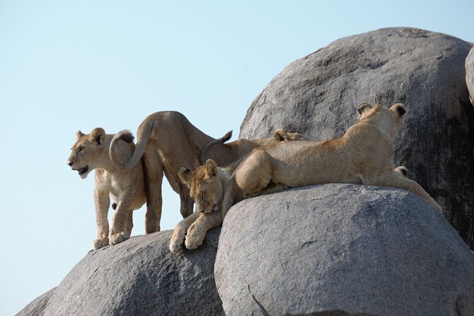3 Days All Inclusive Zanzibar to Tarangire Ngorongoro - What the all-inclusive price covers