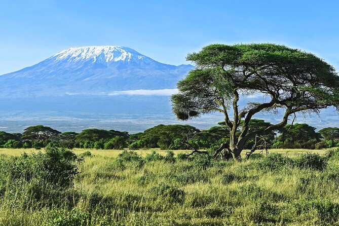 3 Days All Inclusive Zanzibar to Tarangire Ngorongoro - Should you book it?
