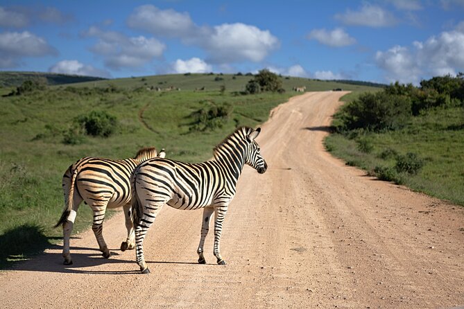 3 Days Amzing Safari in Tarangire and Nngorongoro - Booking advice, cancellation, and final questions