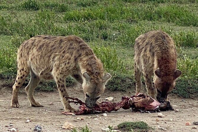 3-Days Arusha National Park-Tarangire park - Ngorongoro Crater - How the value compares with a longer safari
