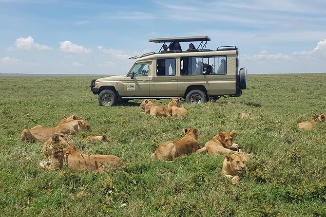 3 Days Big 5 Tour and Culture in Tanzania - Who Should Book This Three-Day Route?