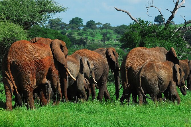 3 Days Big Five Unforgetable Lodging Tanzania Safari - Why this three-day route works