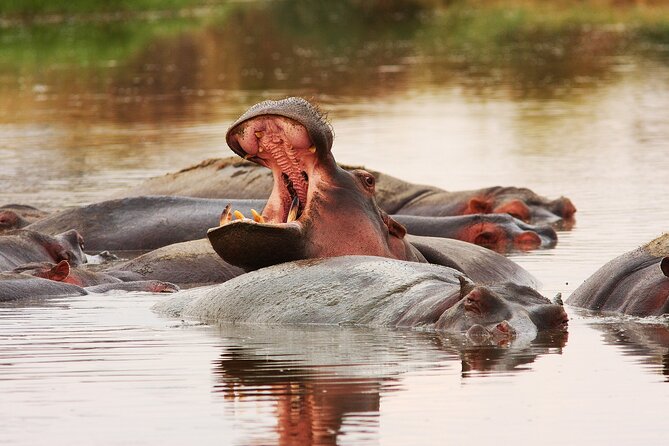 3 Days Big Five Unforgetable Lodging Tanzania Safari - Day one: the road to Tarangire
