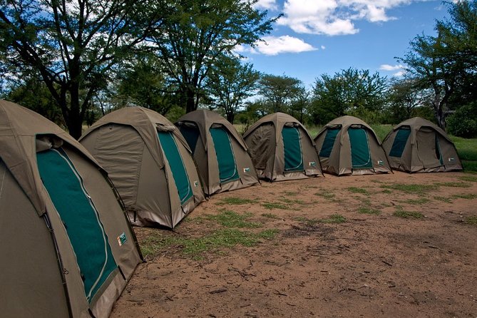 3 Days Budget Camping Safari Tour Tanzania - Day 2 inside the Ngorongoro Crater