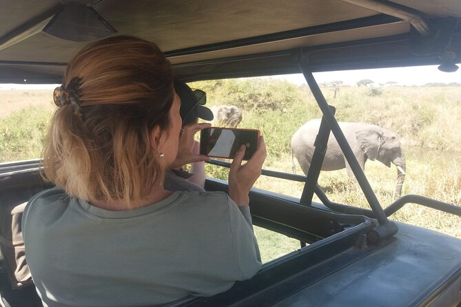3-Days Budget Lodge Safari - Tarangire, Ngorongoro & Lake Manyara - Day three: Lake Manyara’s forest and birdlife
