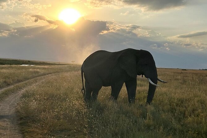 3-Days Budget Lodge Safari - Tarangire, Ngorongoro & Lake Manyara - What the open-roof vehicle adds