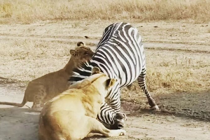 3-Days Budget Lodge Safari - Tarangire, Ngorongoro & Lake Manyara - Who should book this safari?