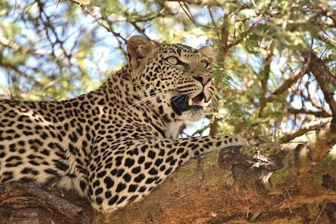 3 Days Budget Mid Range Safari Tour Tanzania - Night one at Twiga campsite and lodge