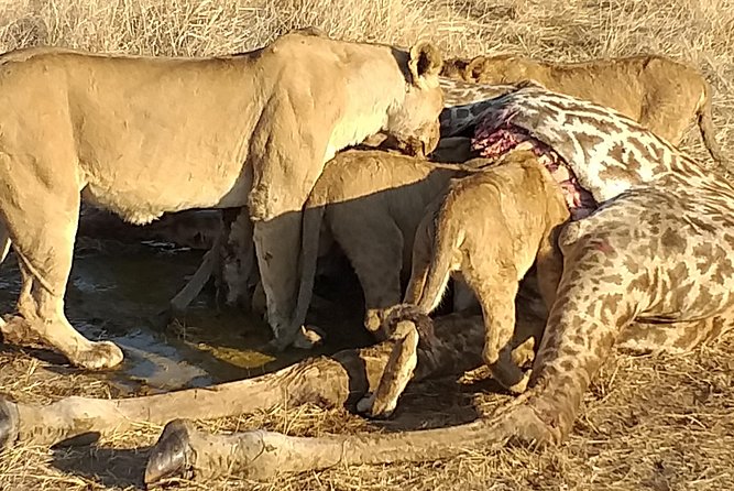 3 Days Explore Selous Game Reserve + Boat safari + bushman walking - First afternoon on the Rufiji River