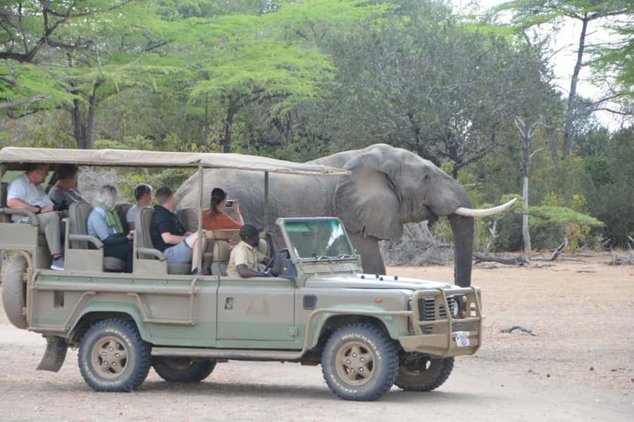 3 Days Flight Package Zanzibar to Nyerere/Selous - Key points to know before booking
