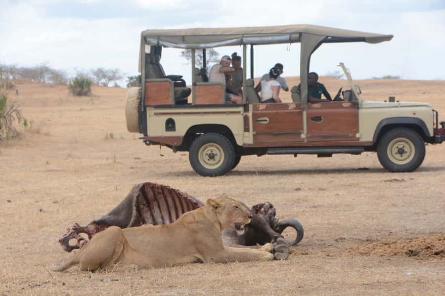 3 Days Flight Package Zanzibar to Nyerere/Selous - Why this Zanzibar to Nyerere route works