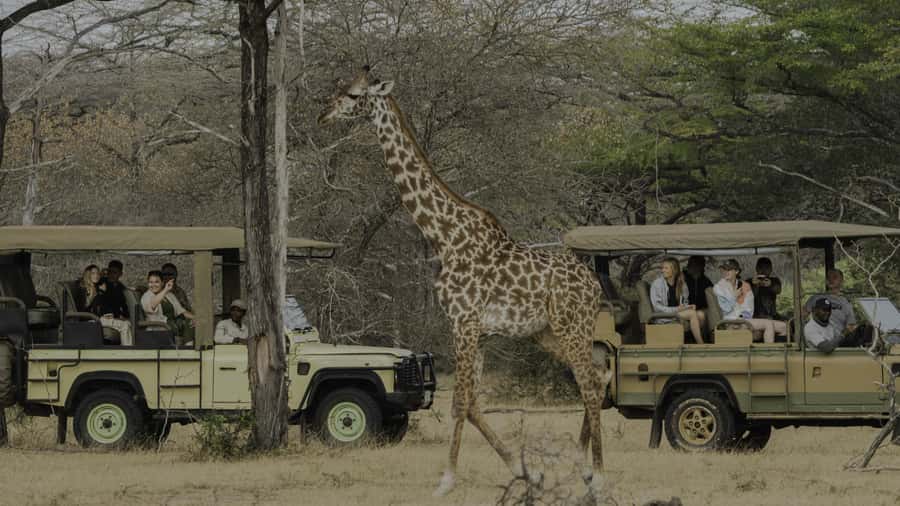 3 Days Flight Package Zanzibar to Nyerere/Selous - Day two: bush walking, Mloka village, and the Rufiji River