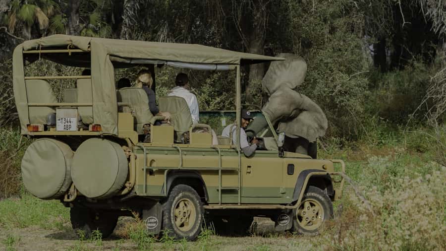 3 Days Flight Package Zanzibar to Nyerere/Selous - What to pack for comfort and respect