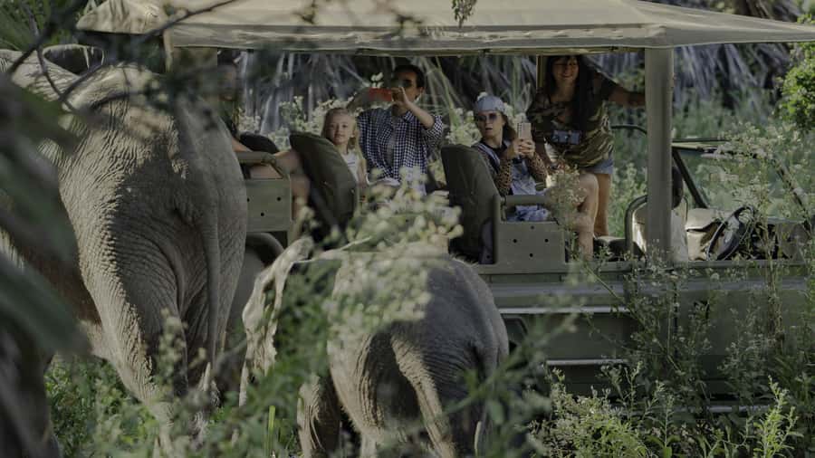 3 Days Flight Package Zanzibar to Nyerere/Selous - Who will enjoy this three-day safari most