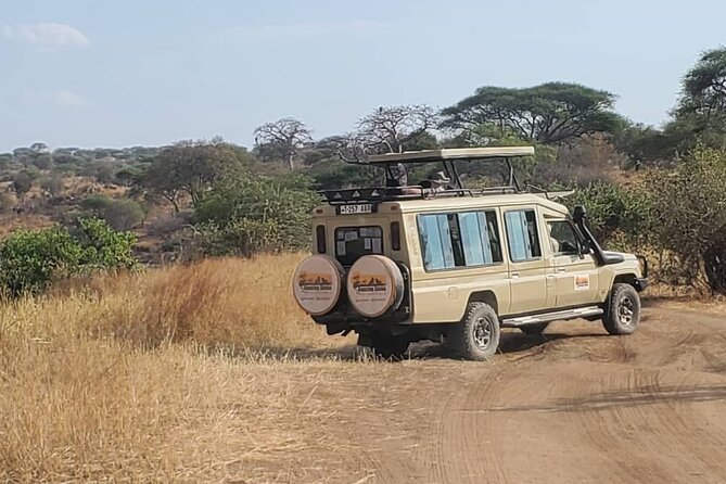 3 Days Fly in & Out Serengeti Park - Day 3: Sunrise, hippo pools, and the flight home