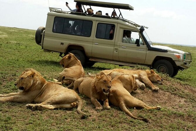 3 Days Fly in & Out Serengeti Park - Day 1: Seronera or Kogatende and the first game drive