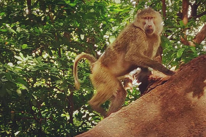 3 days fly in safari - Who will enjoy this short safari most