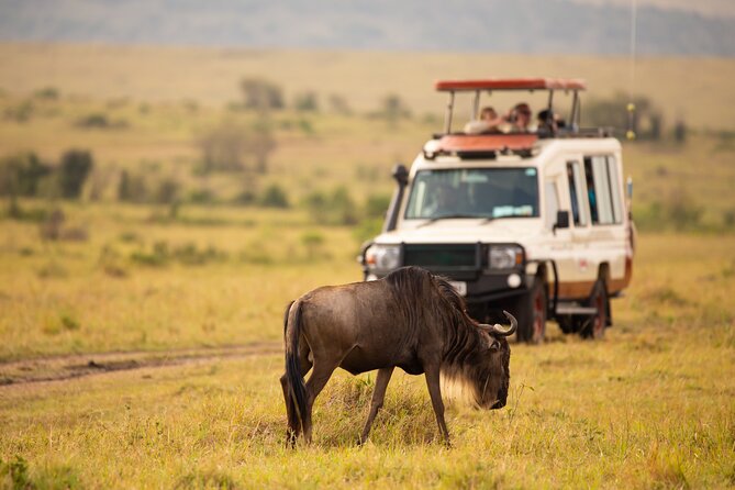 3 days fly in safari - Day two: an early start in Seronera
