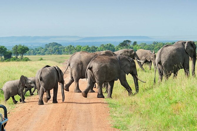 3 Days Group Joining Serengeti and Ngorongoro Safari - Why this three-day safari works