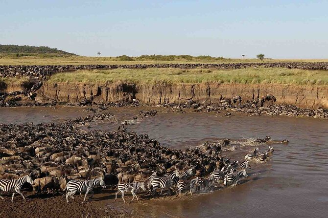 3 Days Group Joining Serengeti and Ngorongoro Safari - Guides and the human side of the trip